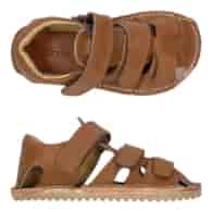 R-SUNNY 3BR35/Lt18 BROWN