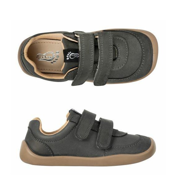 M-OHIO Lt 3BS26/Lt58 GRAFIT